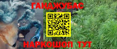 гашик Кимры